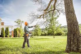 Best Aeration Services  in Roseland, NJ