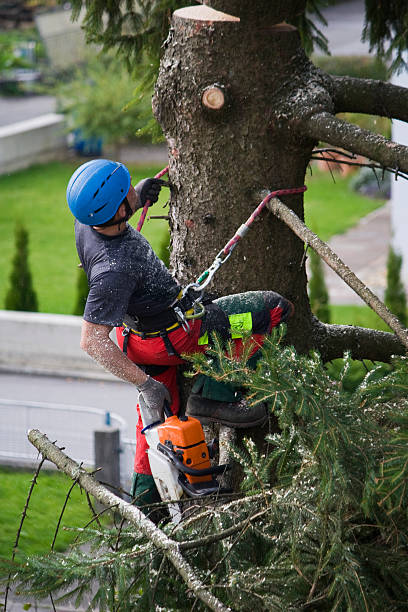 Best Lawn Pest Prevention  in Roseland, NJ